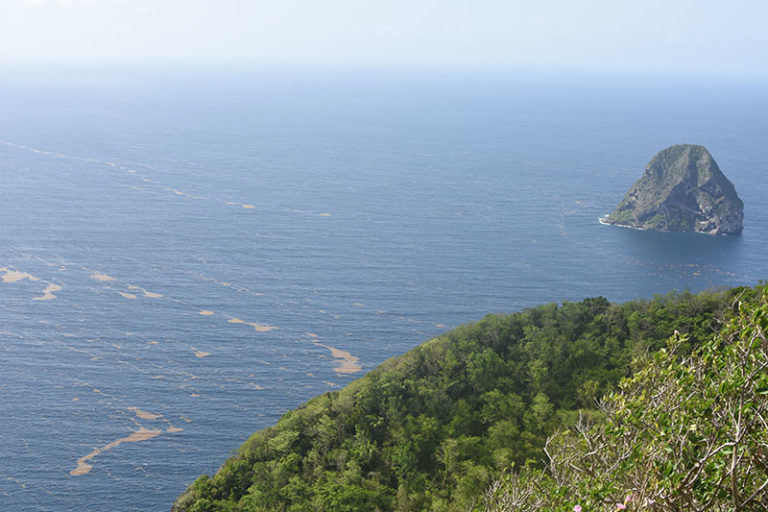 Festival Randonnée - View Of DiamonD Rock Martinique 768x512